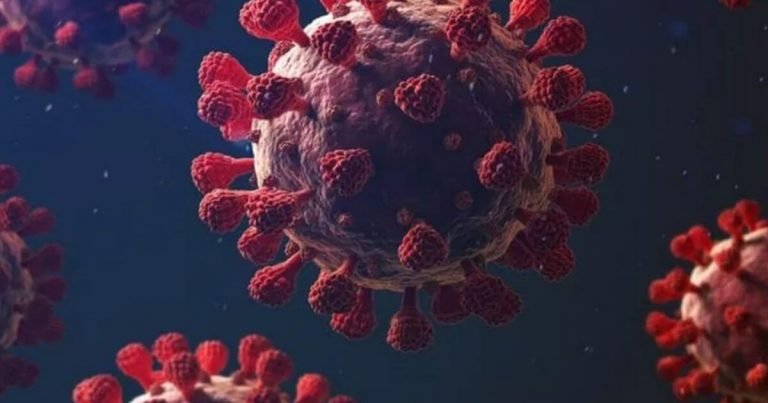 RN tem 1º caso confirmado de reinfecção por coronavírus do Brasil