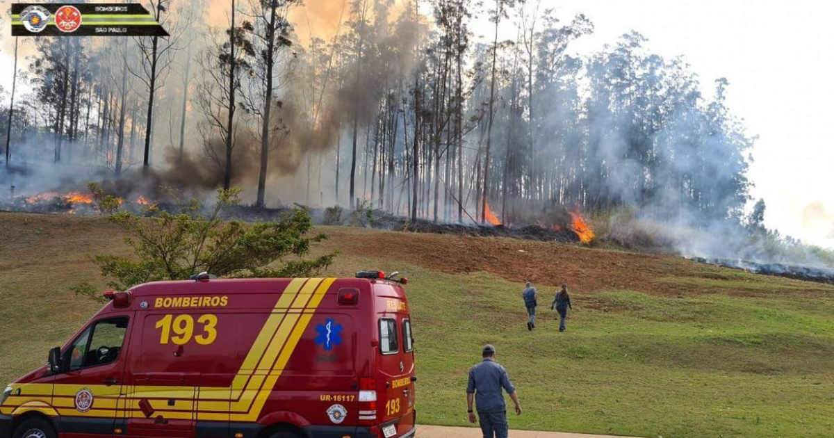 SP: queda de aeronave em Piracicaba deixa sete mortos